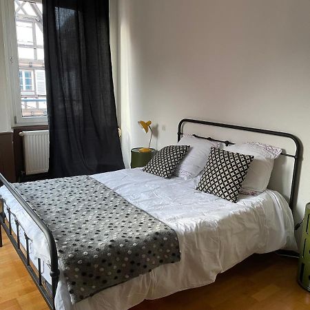 Apartmán Il Piano Nobile Colmar Exteriér fotografie